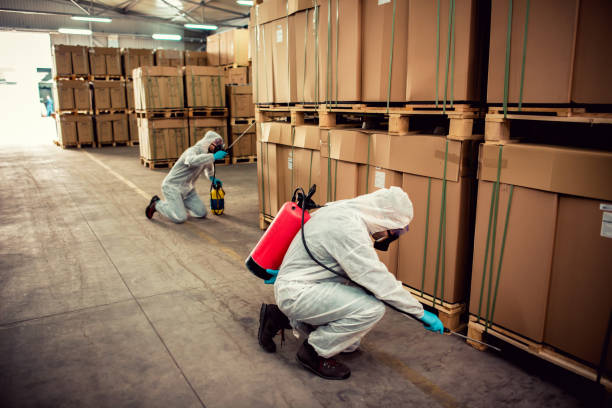 Best Pest Prevention Services  in Woodstock, VA