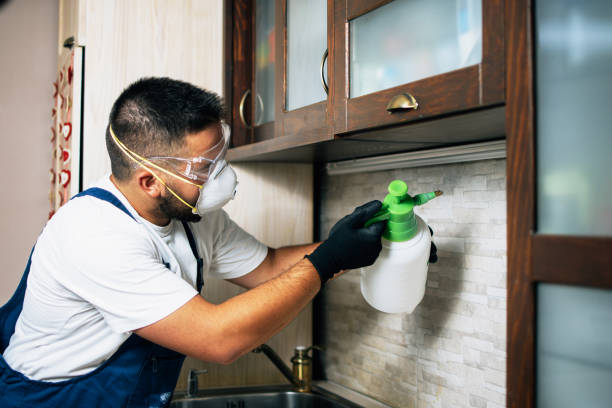 Best Exterminator Services  in Woodstock, VA