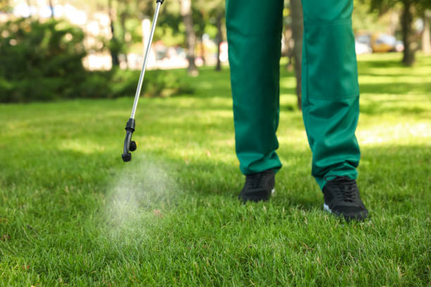 Best Commercial Pest Control Services  in Woodstock, VA