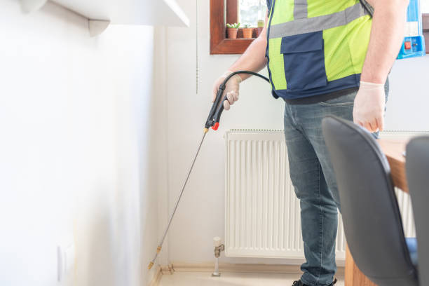 Pest Control for Restaurants in Woodstock, VA