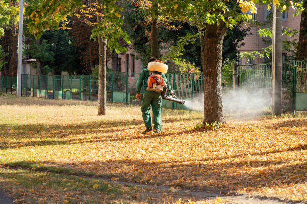Best Wildlife Control Services  in Woodstock, VA