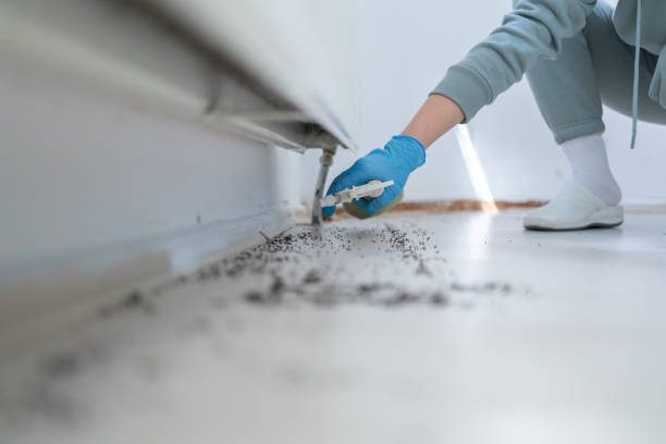 Best Commercial Pest Control Services  in Woodstock, VA